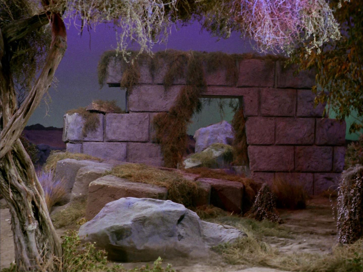 ariane179254_StarTrek_2x16_TheGamestersOfTriskelion_1671.jpg