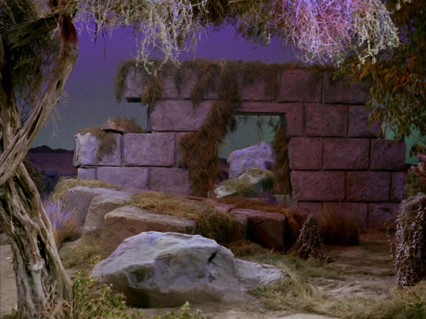 ariane179254_StarTrek_2x16_TheGamestersOfTriskelion_1672.jpg