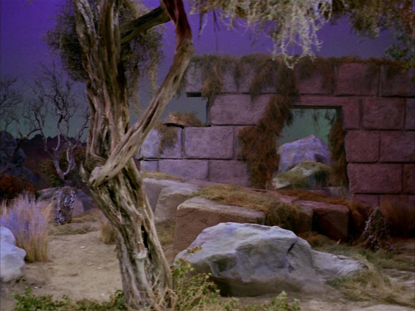 ariane179254_StarTrek_2x16_TheGamestersOfTriskelion_1675.jpg