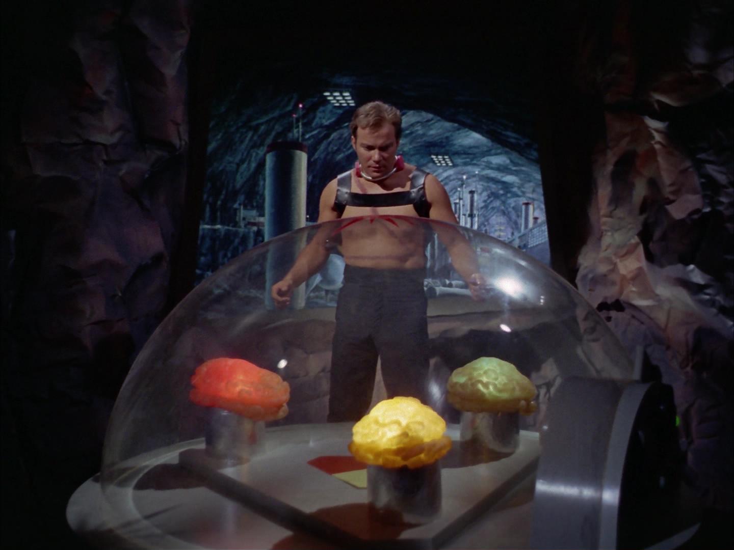 ariane179254_StarTrek_2x16_TheGamestersOfTriskelion_2566.jpg