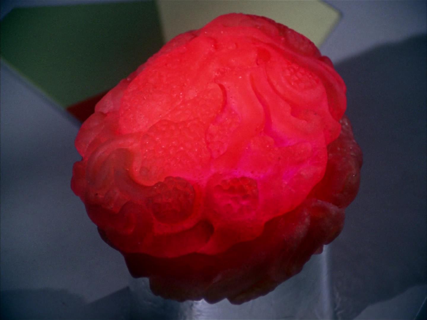 ariane179254_StarTrek_2x16_TheGamestersOfTriskelion_2578.jpg