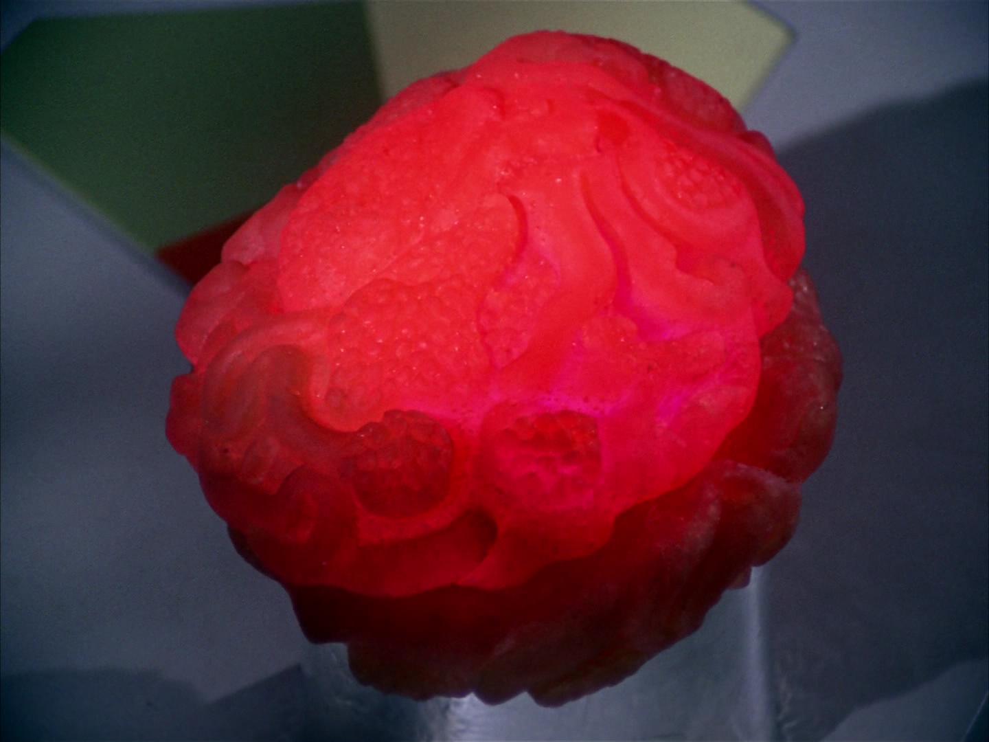 ariane179254_StarTrek_2x16_TheGamestersOfTriskelion_2579.jpg