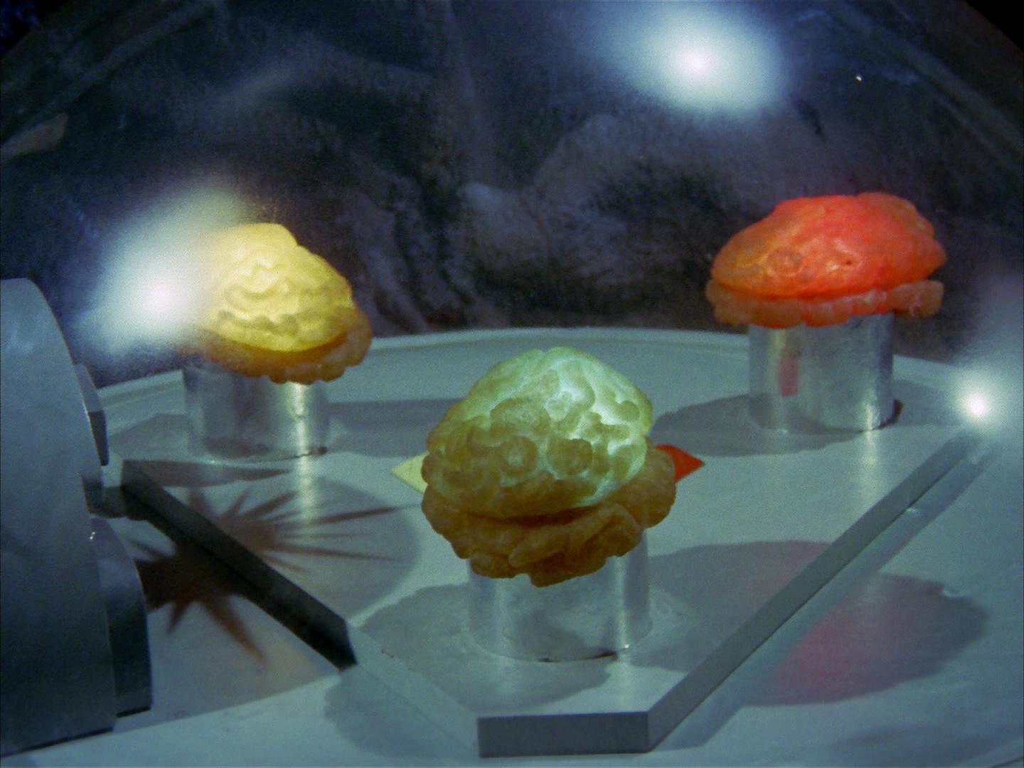 ariane179254_StarTrek_2x16_TheGamestersOfTriskelion_2648.jpg