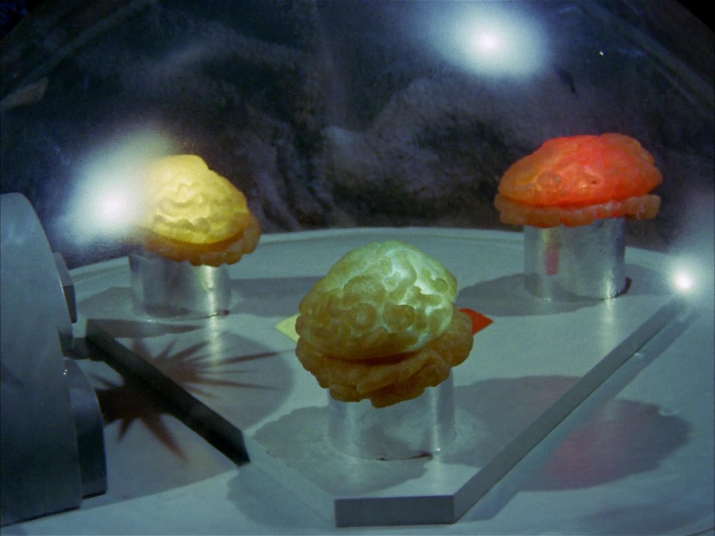 ariane179254_StarTrek_2x16_TheGamestersOfTriskelion_2650.jpg