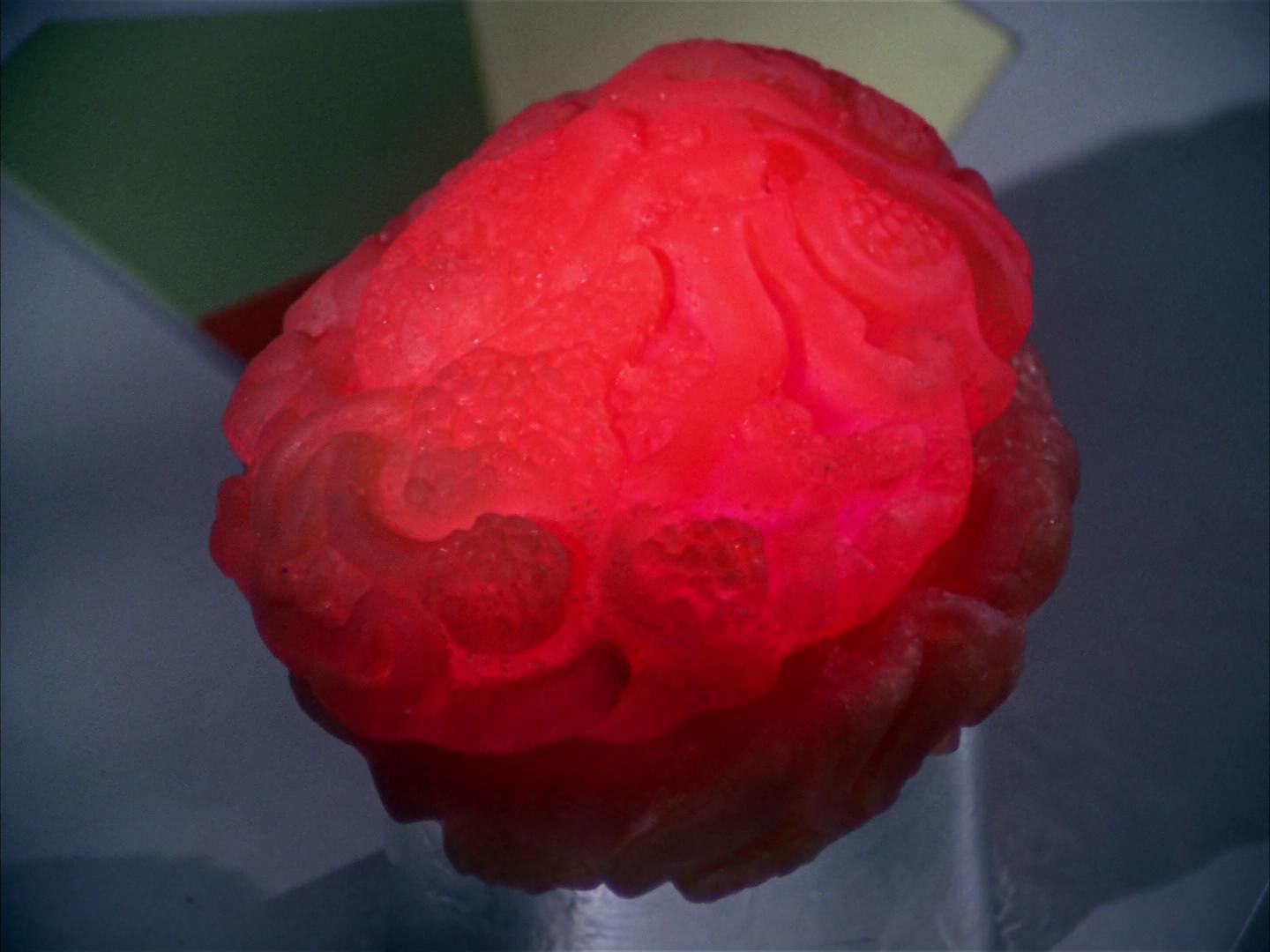 ariane179254_StarTrek_2x16_TheGamestersOfTriskelion_2699.jpg