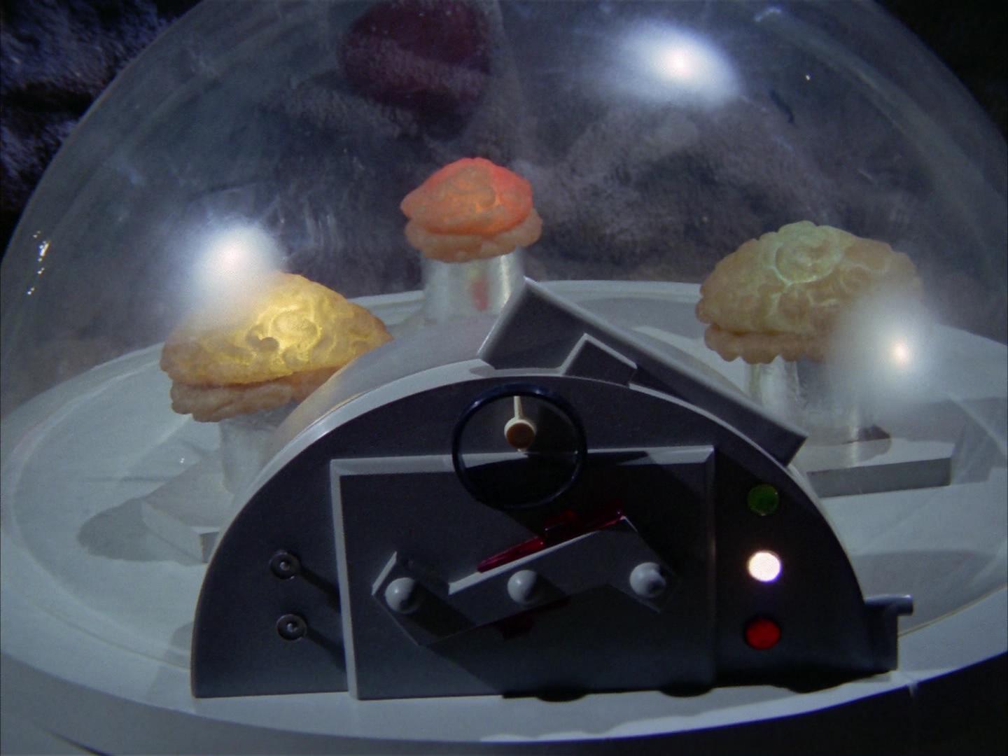 ariane179254_StarTrek_2x16_TheGamestersOfTriskelion_2720.jpg