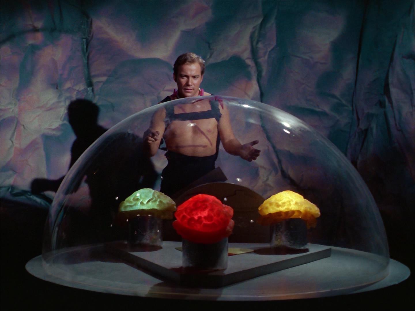 ariane179254_StarTrek_2x16_TheGamestersOfTriskelion_2740.jpg