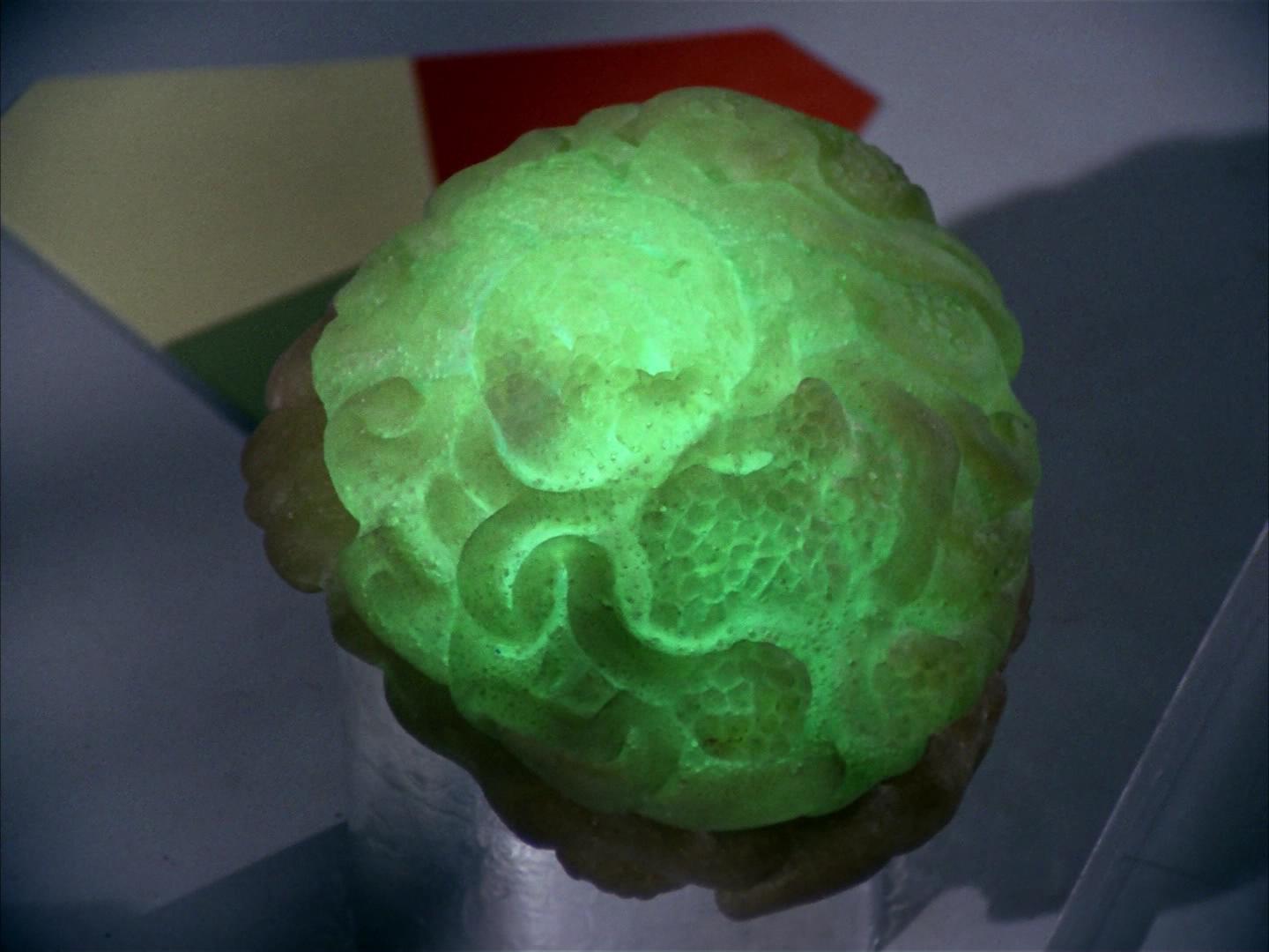 ariane179254_StarTrek_2x16_TheGamestersOfTriskelion_2775.jpg