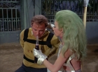 Filename=ariane179254_StarTrek_2x16_TheGamestersOfTriskelion_1441.jpg
Filesize=128KiB
Dimensions=1440x1080
Date added=Jul 08, 2015 ariane179254_StarTrek_2x16_TheGamestersOfTriskelion_1441.jpg