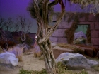Filename=ariane179254_StarTrek_2x16_TheGamestersOfTriskelion_1676.jpg
Filesize=153KiB
Dimensions=1440x1080
Date added=Jul 08, 2015 ariane179254_StarTrek_2x16_TheGamestersOfTriskelion_1676.jpg