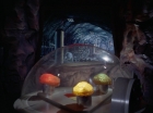 ariane179254_StarTrek_2x16_TheGamestersOfTriskelion_2560.jpg