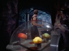 Filename=ariane179254_StarTrek_2x16_TheGamestersOfTriskelion_2567.jpg
Filesize=85KiB
Dimensions=1440x1080
Date added=Jul 08, 2015 ariane179254_StarTrek_2x16_TheGamestersOfTriskelion_2567.jpg