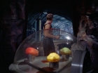 Filename=ariane179254_StarTrek_2x16_TheGamestersOfTriskelion_2568.jpg
Filesize=86KiB
Dimensions=1440x1080
Date added=Jul 08, 2015 ariane179254_StarTrek_2x16_TheGamestersOfTriskelion_2568.jpg