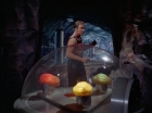 Filename=ariane179254_StarTrek_2x16_TheGamestersOfTriskelion_2572.jpg
Filesize=85KiB
Dimensions=1440x1080
Date added=Jul 08, 2015 ariane179254_StarTrek_2x16_TheGamestersOfTriskelion_2572.jpg