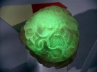 ariane179254_StarTrek_2x16_TheGamestersOfTriskelion_2587.jpg