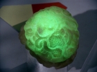 ariane179254_StarTrek_2x16_TheGamestersOfTriskelion_2590.jpg