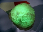 ariane179254_StarTrek_2x16_TheGamestersOfTriskelion_2592.jpg