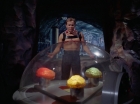 Filename=ariane179254_StarTrek_2x16_TheGamestersOfTriskelion_2607.jpg
Filesize=87KiB
Dimensions=1440x1080
Date added=Jul 08, 2015 ariane179254_StarTrek_2x16_TheGamestersOfTriskelion_2607.jpg