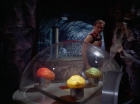 ariane179254_StarTrek_2x16_TheGamestersOfTriskelion_2647.jpg