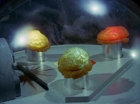 Filename=ariane179254_StarTrek_2x16_TheGamestersOfTriskelion_2648.jpg
Filesize=113KiB
Dimensions=1440x1080
Date added=Jul 08, 2015 ariane179254_StarTrek_2x16_TheGamestersOfTriskelion_2648.jpg