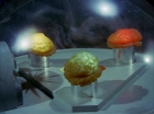 ariane179254_StarTrek_2x16_TheGamestersOfTriskelion_2649.jpg
