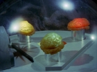 Filename=ariane179254_StarTrek_2x16_TheGamestersOfTriskelion_2650.jpg
Filesize=98KiB
Dimensions=1440x1080
Date added=Jul 08, 2015 ariane179254_StarTrek_2x16_TheGamestersOfTriskelion_2650.jpg