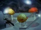 ariane179254_StarTrek_2x16_TheGamestersOfTriskelion_2651.jpg