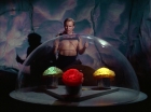 Filename=ariane179254_StarTrek_2x16_TheGamestersOfTriskelion_2702.jpg
Filesize=92KiB
Dimensions=1440x1080
Date added=Jul 08, 2015 ariane179254_StarTrek_2x16_TheGamestersOfTriskelion_2702.jpg