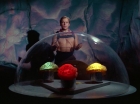 Filename=ariane179254_StarTrek_2x16_TheGamestersOfTriskelion_2706.jpg
Filesize=91KiB
Dimensions=1440x1080
Date added=Jul 08, 2015 ariane179254_StarTrek_2x16_TheGamestersOfTriskelion_2706.jpg