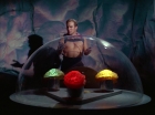 Filename=ariane179254_StarTrek_2x16_TheGamestersOfTriskelion_2708.jpg
Filesize=91KiB
Dimensions=1440x1080
Date added=Jul 08, 2015 ariane179254_StarTrek_2x16_TheGamestersOfTriskelion_2708.jpg