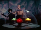 Filename=ariane179254_StarTrek_2x16_TheGamestersOfTriskelion_2718.jpg
Filesize=92KiB
Dimensions=1440x1080
Date added=Jul 08, 2015 ariane179254_StarTrek_2x16_TheGamestersOfTriskelion_2718.jpg