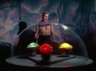 Filename=ariane179254_StarTrek_2x16_TheGamestersOfTriskelion_2719.jpg
Filesize=91KiB
Dimensions=1440x1080
Date added=Jul 08, 2015 ariane179254_StarTrek_2x16_TheGamestersOfTriskelion_2719.jpg