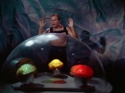 Filename=ariane179254_StarTrek_2x16_TheGamestersOfTriskelion_2751.jpg
Filesize=97KiB
Dimensions=1440x1080
Date added=Jul 08, 2015 ariane179254_StarTrek_2x16_TheGamestersOfTriskelion_2751.jpg