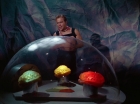 Filename=ariane179254_StarTrek_2x16_TheGamestersOfTriskelion_2754.jpg
Filesize=97KiB
Dimensions=1440x1080
Date added=Jul 08, 2015 ariane179254_StarTrek_2x16_TheGamestersOfTriskelion_2754.jpg