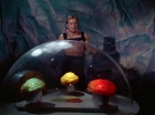 Filename=ariane179254_StarTrek_2x16_TheGamestersOfTriskelion_2757.jpg
Filesize=97KiB
Dimensions=1440x1080
Date added=Jul 08, 2015 ariane179254_StarTrek_2x16_TheGamestersOfTriskelion_2757.jpg