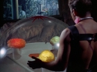 Filename=ariane179254_StarTrek_2x16_TheGamestersOfTriskelion_2762.jpg
Filesize=93KiB
Dimensions=1440x1080
Date added=Jul 08, 2015 ariane179254_StarTrek_2x16_TheGamestersOfTriskelion_2762.jpg