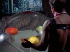 Filename=ariane179254_StarTrek_2x16_TheGamestersOfTriskelion_2763.jpg
Filesize=94KiB
Dimensions=1440x1080
Date added=Jul 08, 2015 ariane179254_StarTrek_2x16_TheGamestersOfTriskelion_2763.jpg