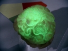 ariane179254_StarTrek_2x16_TheGamestersOfTriskelion_2774.jpg
