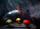 Filename=ariane179254_StarTrek_2x16_TheGamestersOfTriskelion_2798.jpg
Filesize=102KiB
Dimensions=1440x1080
Date added=Jul 08, 2015 ariane179254_StarTrek_2x16_TheGamestersOfTriskelion_2798.jpg
