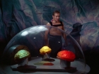 ariane179254_StarTrek_2x16_TheGamestersOfTriskelion_2800.jpg