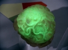 Filename=ariane179254_StarTrek_2x16_TheGamestersOfTriskelion_2848.jpg
Filesize=92KiB
Dimensions=1440x1080
Date added=Jul 08, 2015 ariane179254_StarTrek_2x16_TheGamestersOfTriskelion_2848.jpg