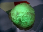 Filename=ariane179254_StarTrek_2x16_TheGamestersOfTriskelion_2850.jpg
Filesize=93KiB
Dimensions=1440x1080
Date added=Jul 08, 2015 ariane179254_StarTrek_2x16_TheGamestersOfTriskelion_2850.jpg
