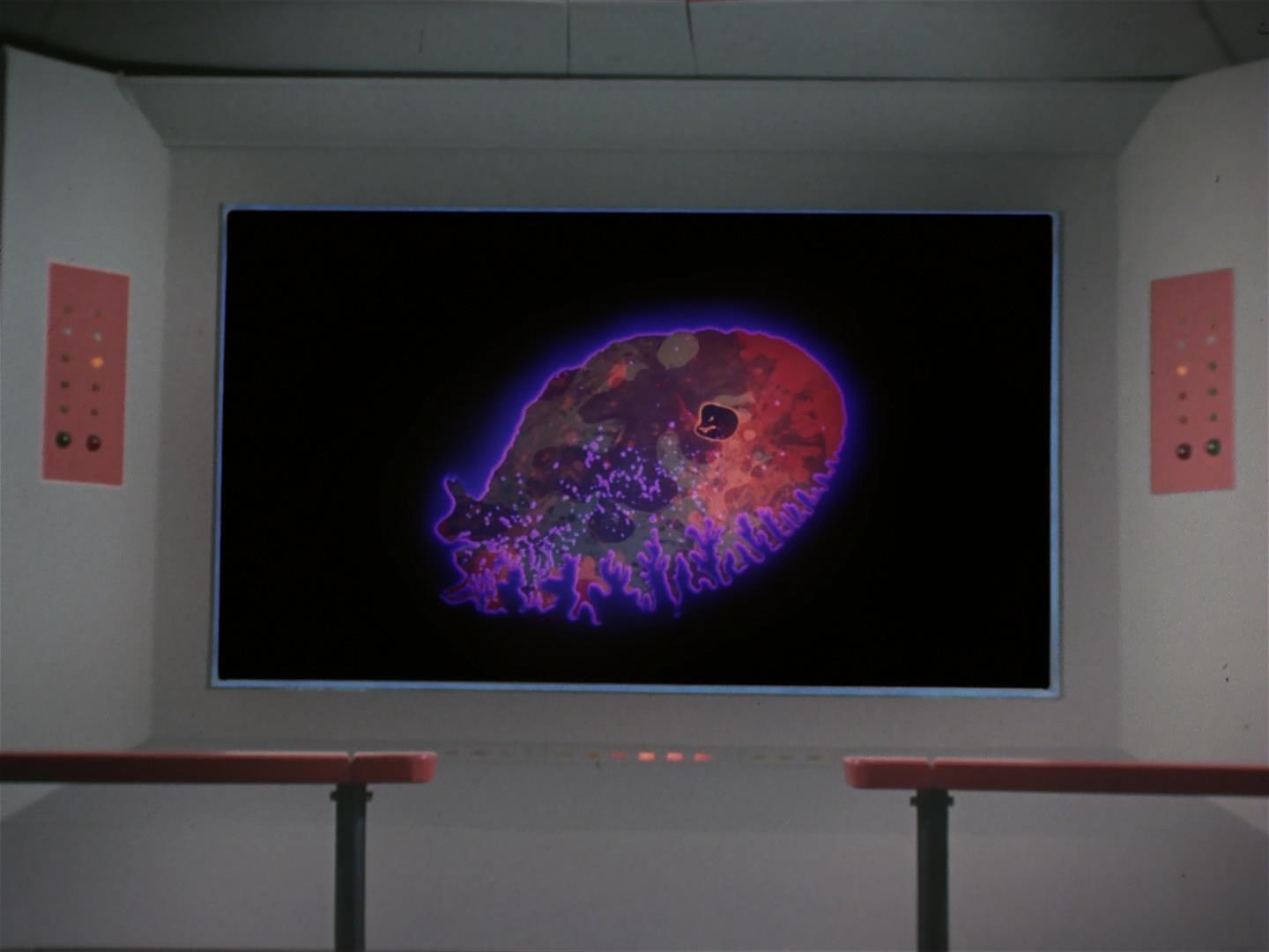 ariane179254_StarTrek_2x18_TheImmunitySyndrome_1480.jpg