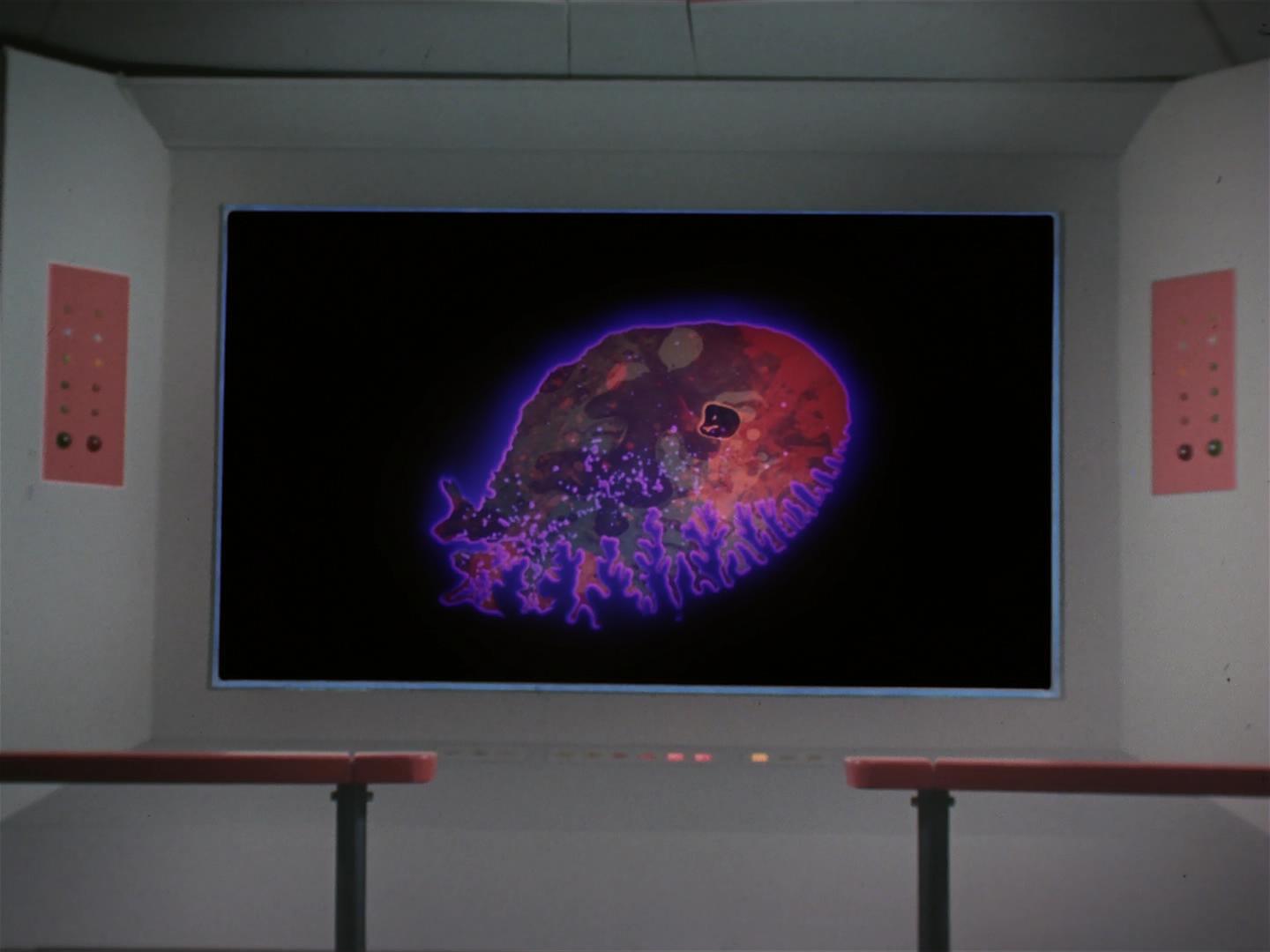 ariane179254_StarTrek_2x18_TheImmunitySyndrome_1481.jpg