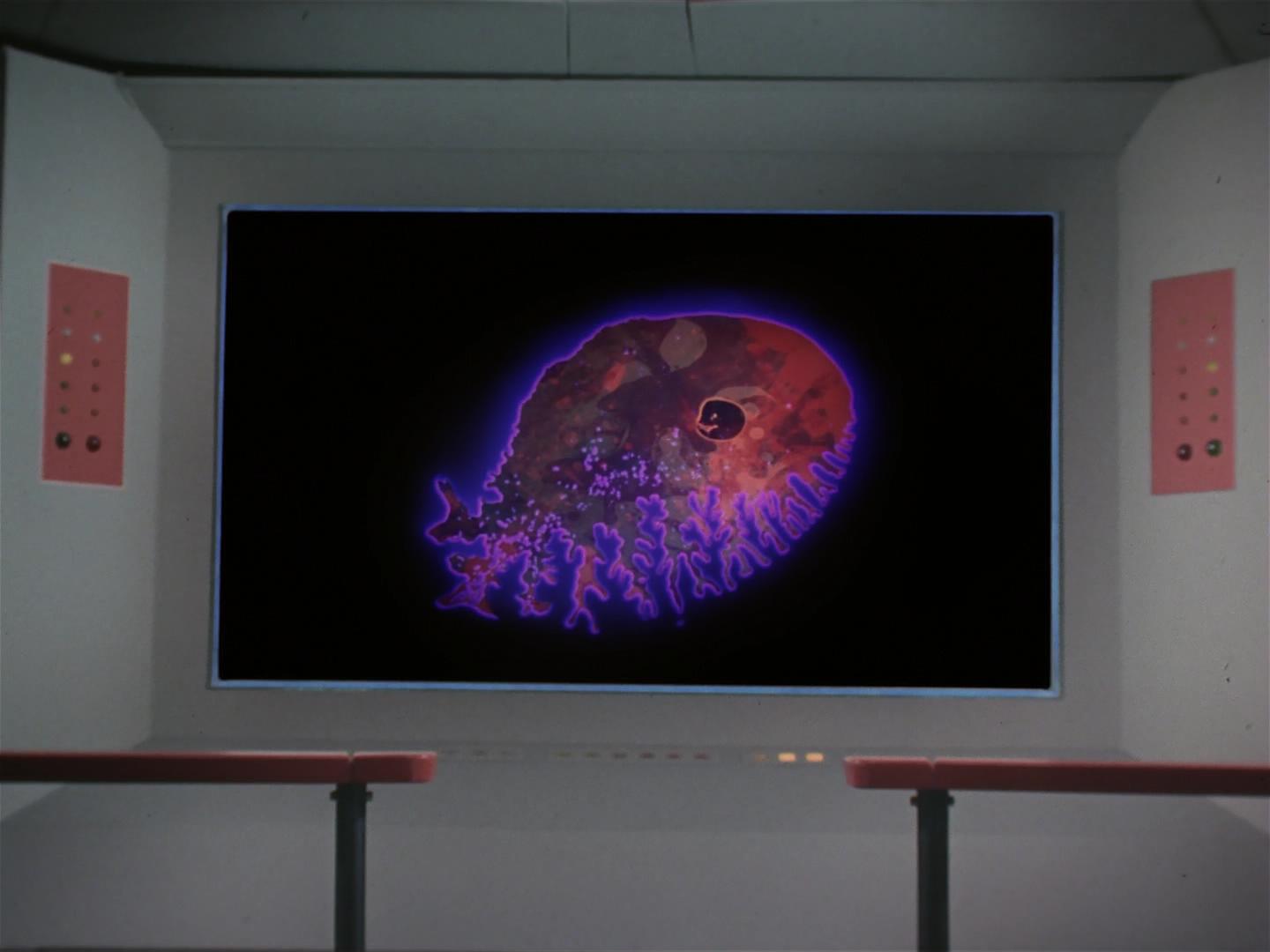 ariane179254_StarTrek_2x18_TheImmunitySyndrome_1482.jpg