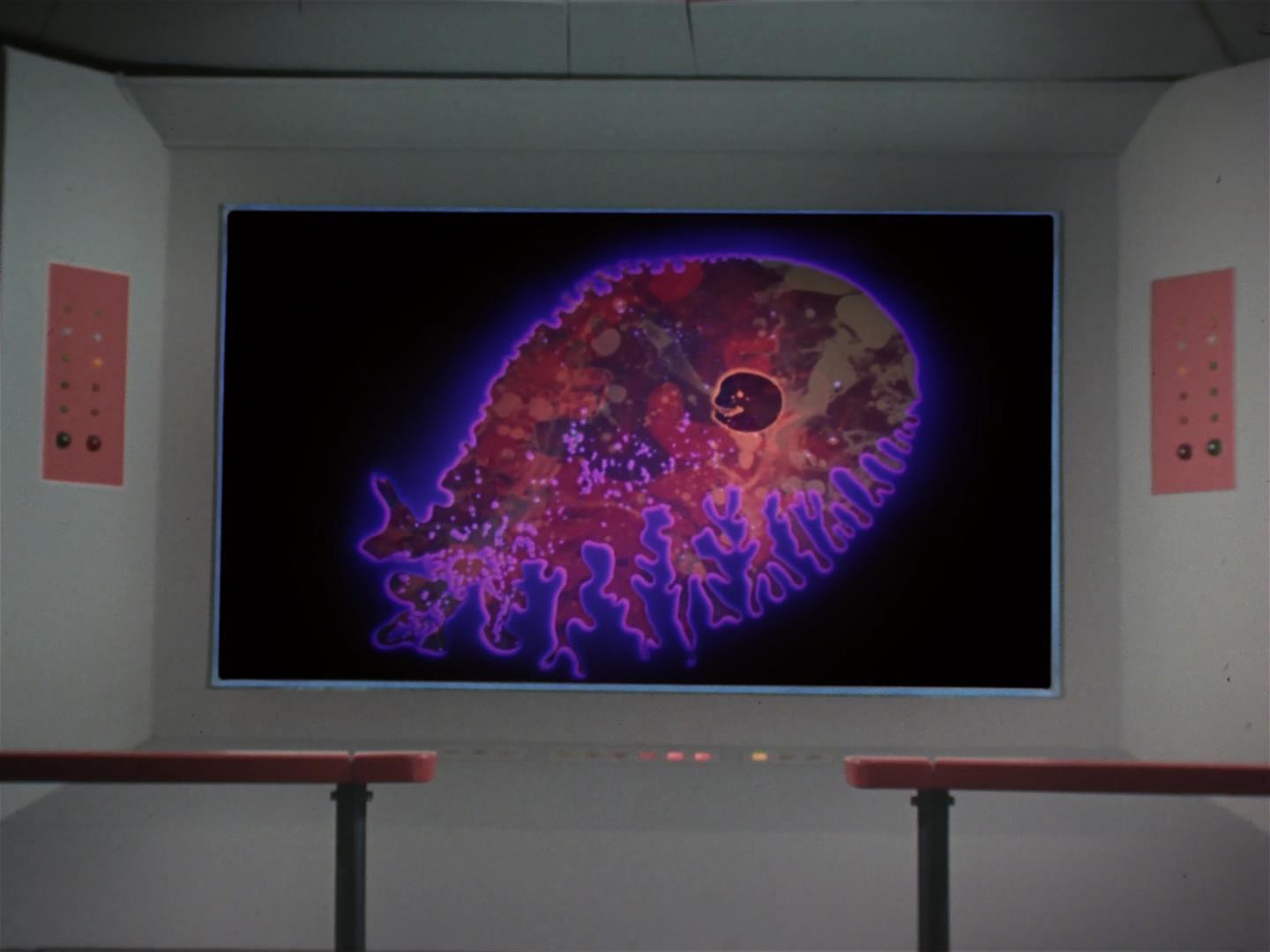 ariane179254_StarTrek_2x18_TheImmunitySyndrome_1537.jpg