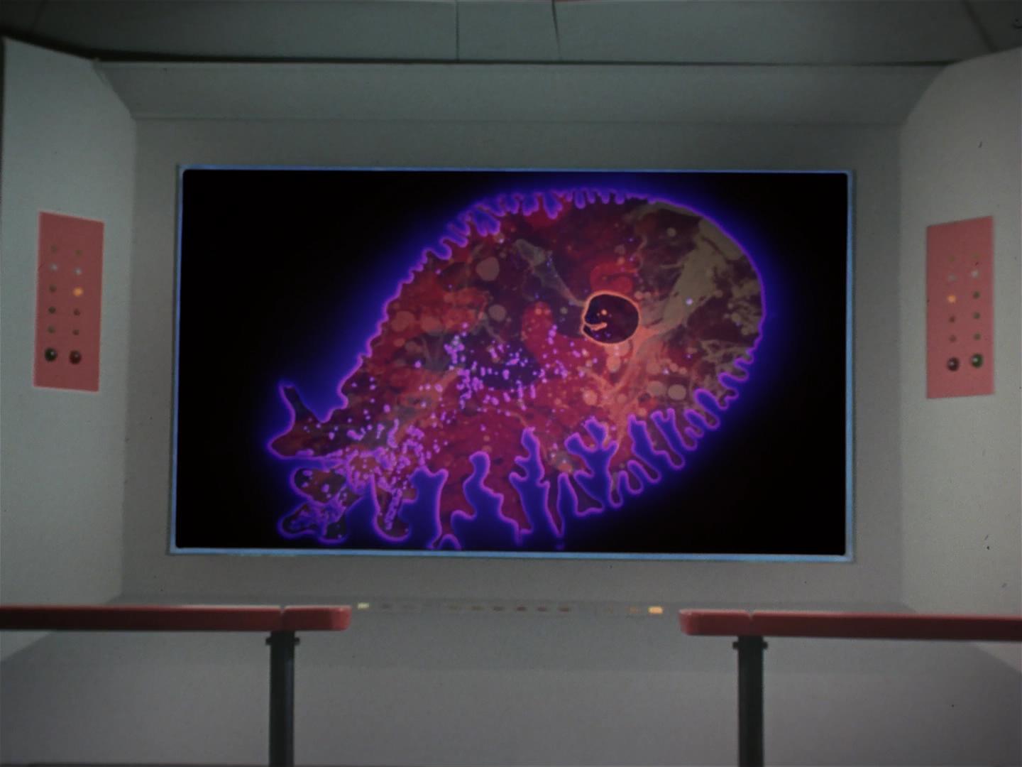 ariane179254_StarTrek_2x18_TheImmunitySyndrome_1539.jpg