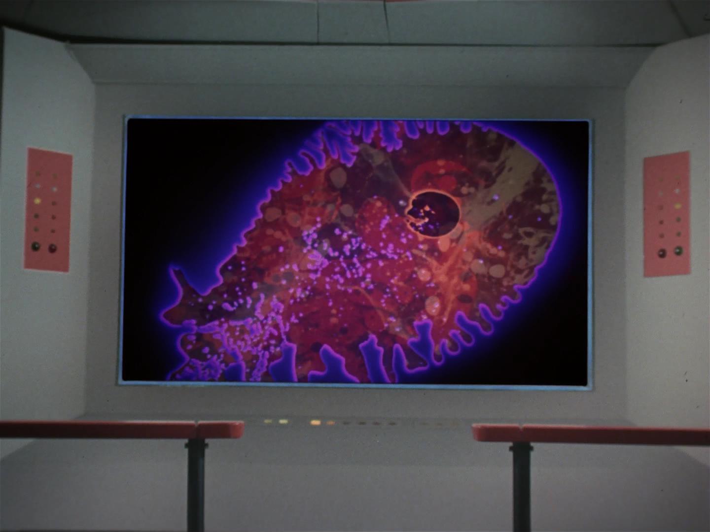 ariane179254_StarTrek_2x18_TheImmunitySyndrome_1572.jpg