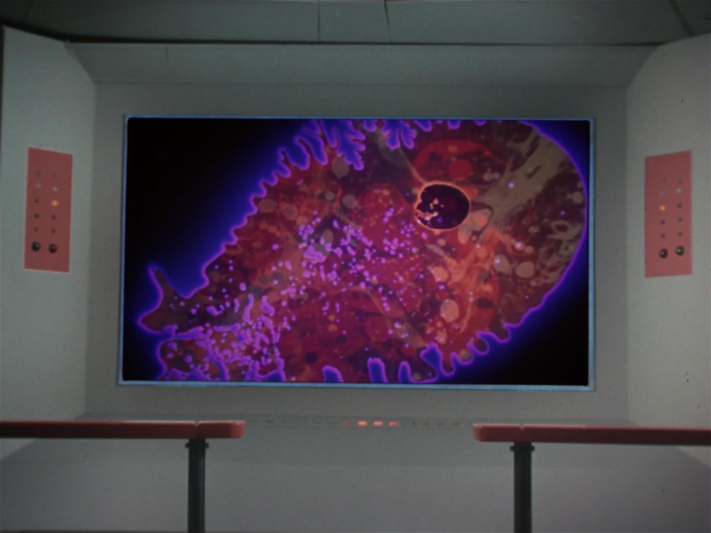 ariane179254_StarTrek_2x18_TheImmunitySyndrome_1574.jpg