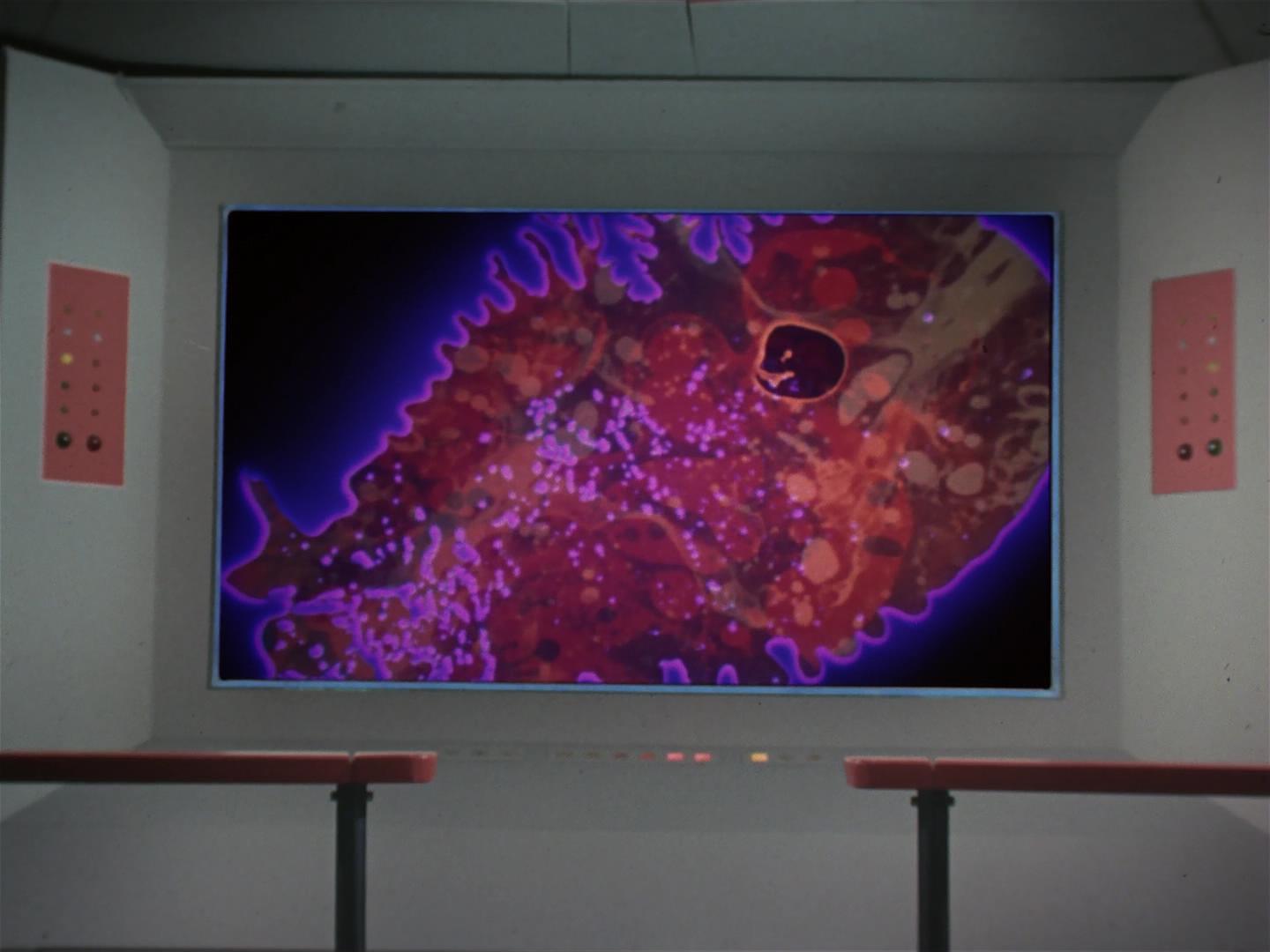 ariane179254_StarTrek_2x18_TheImmunitySyndrome_1575.jpg
